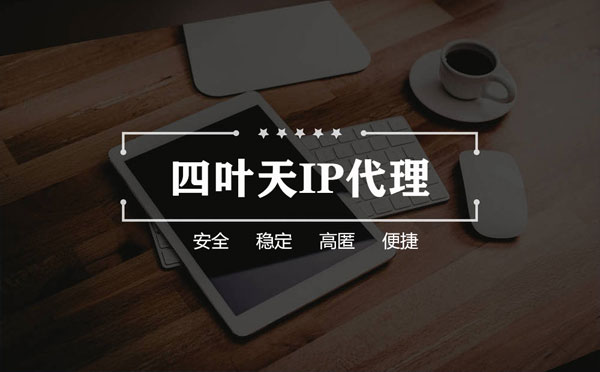 【万宁代理IP】如何快速搭建代理IP？怎么检查代理的效果？